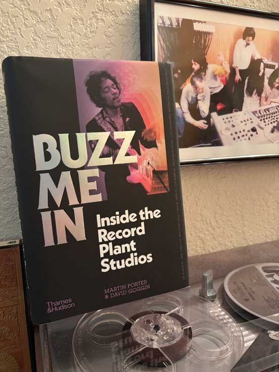 Buzz Me In book
